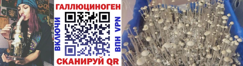 Галлюциногенные грибы прущие грибы  Реутов 