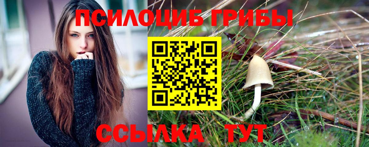 Галлюциногенные грибы Psilocybe  Галлюциногенные грибы прущие грибы  Реутов  купить наркоту  Вход с VPN 